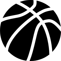 Basketball Icon